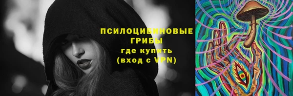 амф Надым