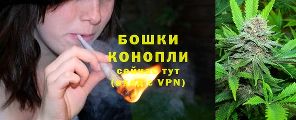 амф Надым